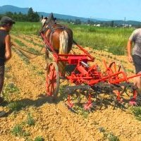 Deuxième formation à Mozas (38), Le cultibutte