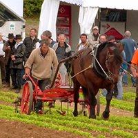 Néo Bucher : Porte-outils traction animale
