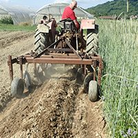 Itinéraires agronomiques et outils agricoles 