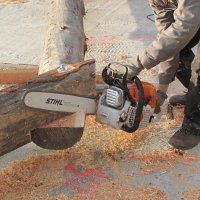 Charpente en bois rond : taille et levage