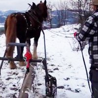 Retrouvez-nous lors d’une ferme ouverte en Savoie