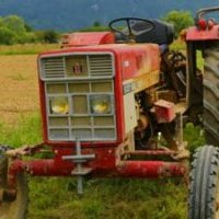 Le potager des milles saveurs