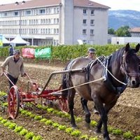 Encore un maraîcher bio !!! (y’en a marre)