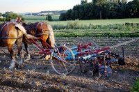 [FORMATIONS] Le Néo-bucher est-il adapté à ma ferme ? le 14 octobre à Montoison (26)