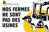 DUPLOMB&nbsp;: La stratégie du mensonge avec aplomb 
