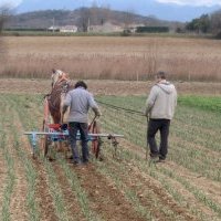 Le porte-outils Néo-Bucher est-t-il adapté à ma ferme ?