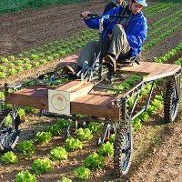 La dernière journée des stages d’autoconstruction, un moment privilégié pour faire le point, échanger, progresser, innover