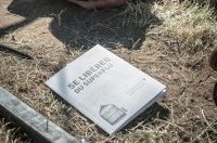 Des lectures pour l’été !