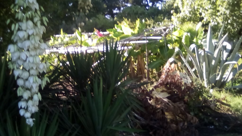 JPEG - 468.5 kio