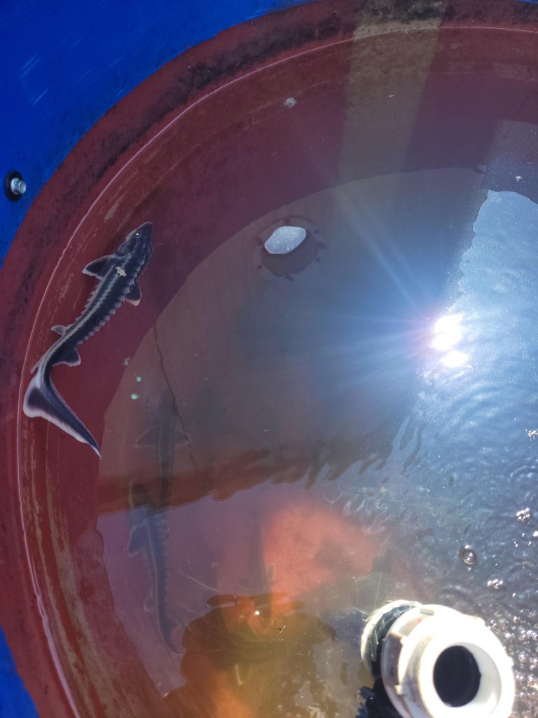 JPEG - 198.3 kio